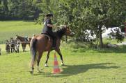 Reiten